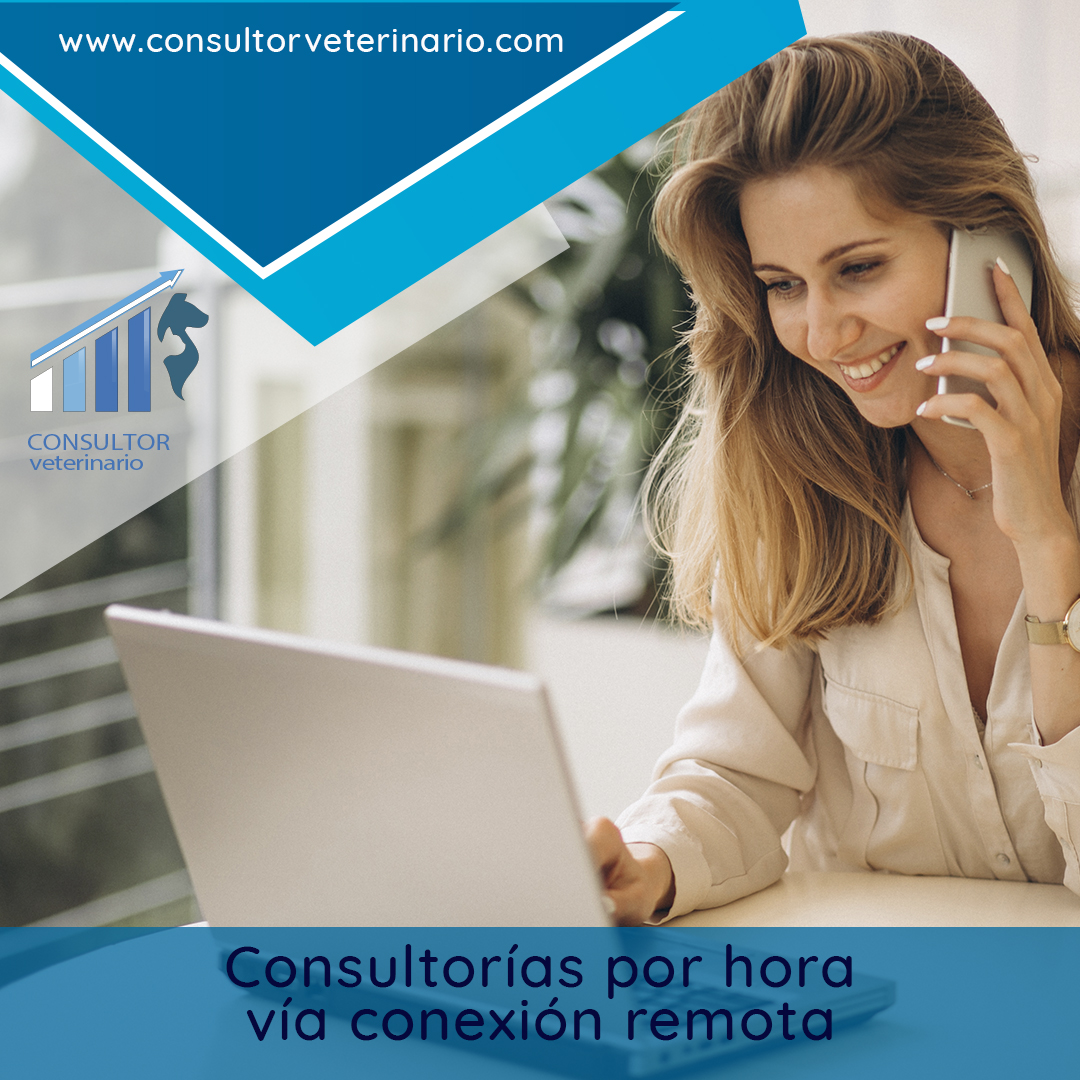 Consultoría de Gestión de Negocios