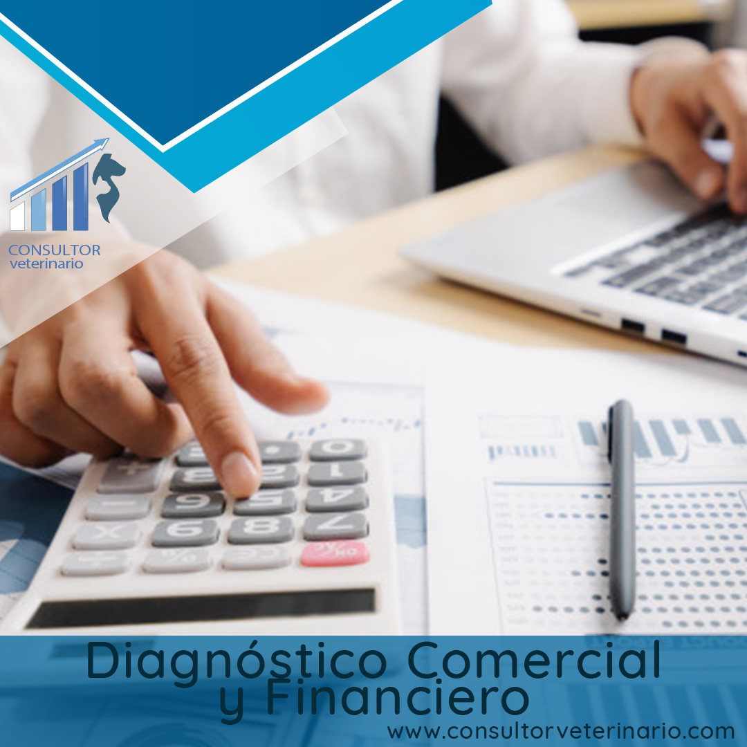 Diagnóstico Comercial y Financiero